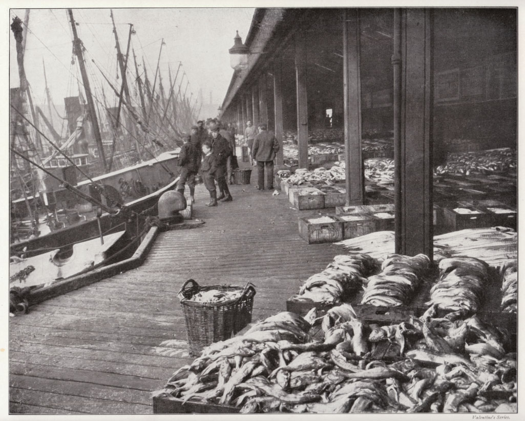 Aberdeen Fish Market, 1900s photographic view eBay